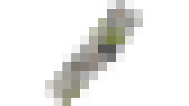 Swidbertstraat 18 Waalre thumbnail 38