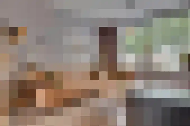 Swidbertstraat 18 Waalre thumbnail 8