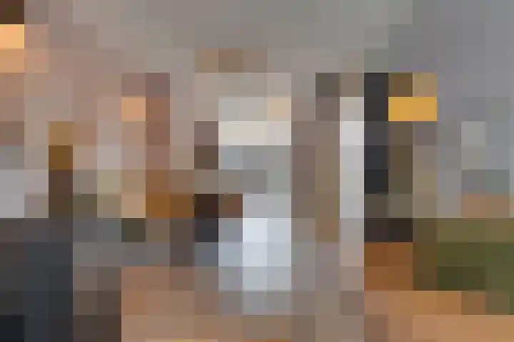Swidbertstraat 18 Waalre thumbnail 9