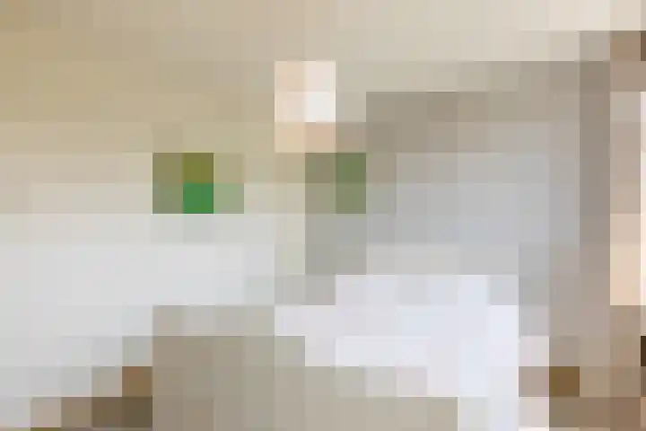 Swidbertstraat 22 Waalre thumbnail 10