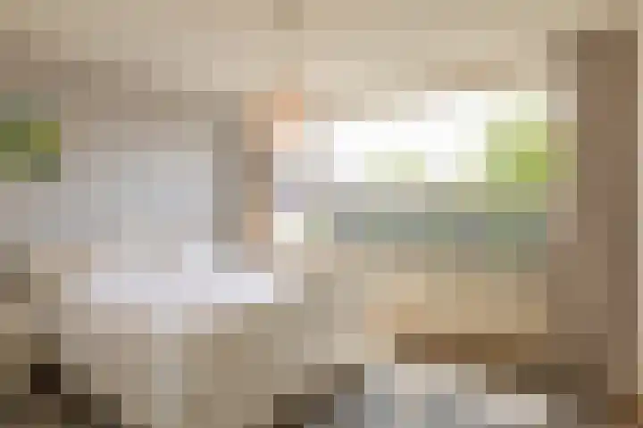 Swidbertstraat 22 Waalre thumbnail 11