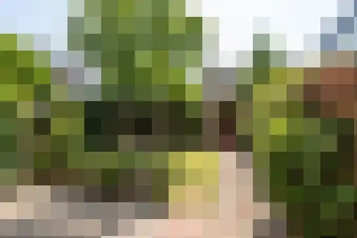Swidbertstraat 22 Waalre thumbnail 21