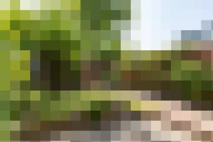 Swidbertstraat 22 Waalre thumbnail 22