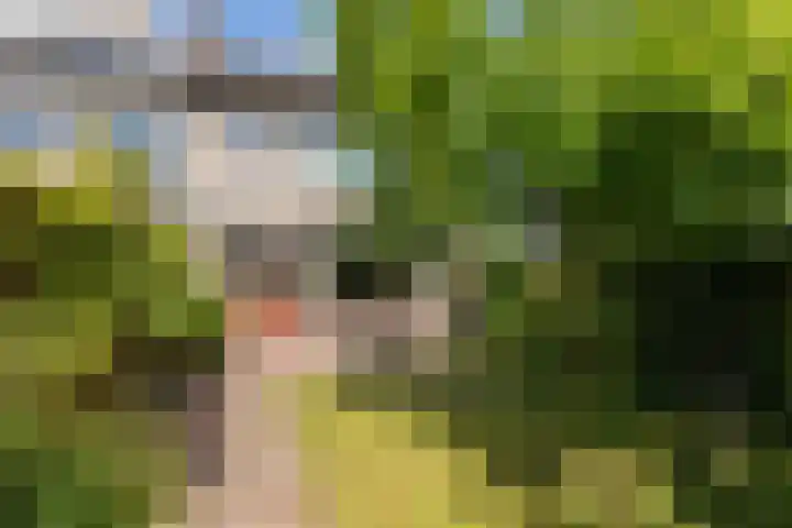 Swidbertstraat 22 Waalre thumbnail 23