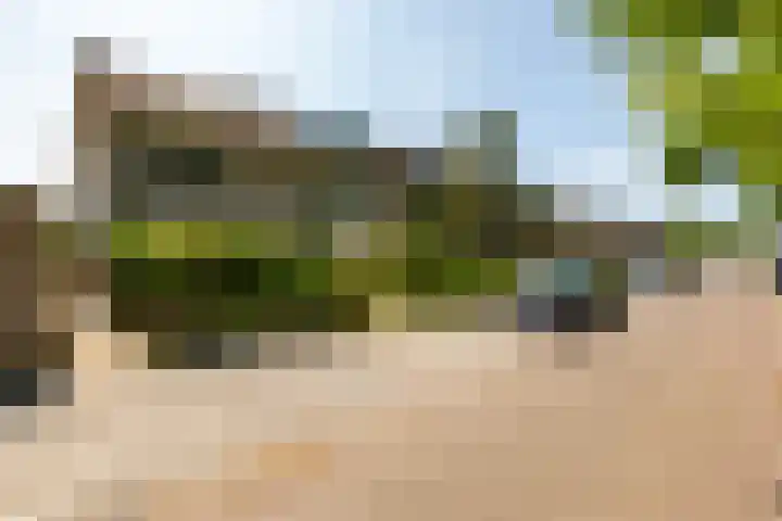 Swidbertstraat 22 Waalre thumbnail 25
