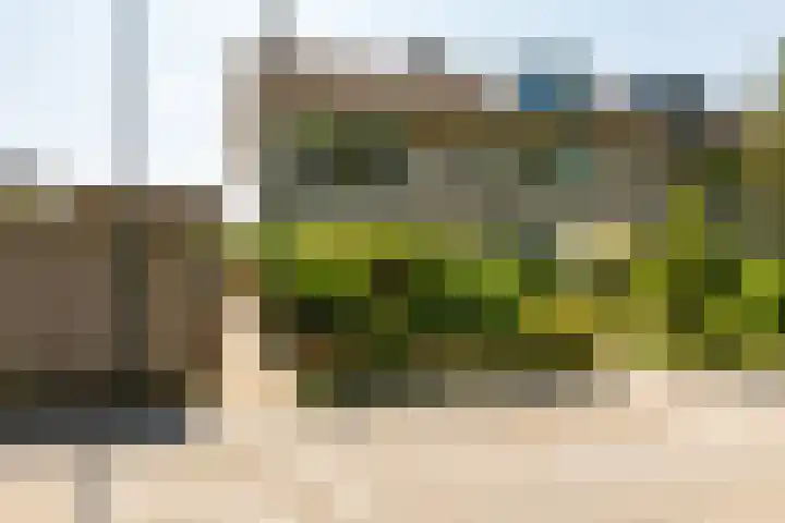 Swidbertstraat 22 Waalre thumbnail 26