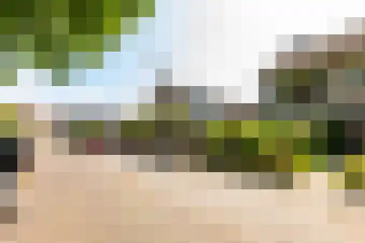 Swidbertstraat 22 Waalre thumbnail 27