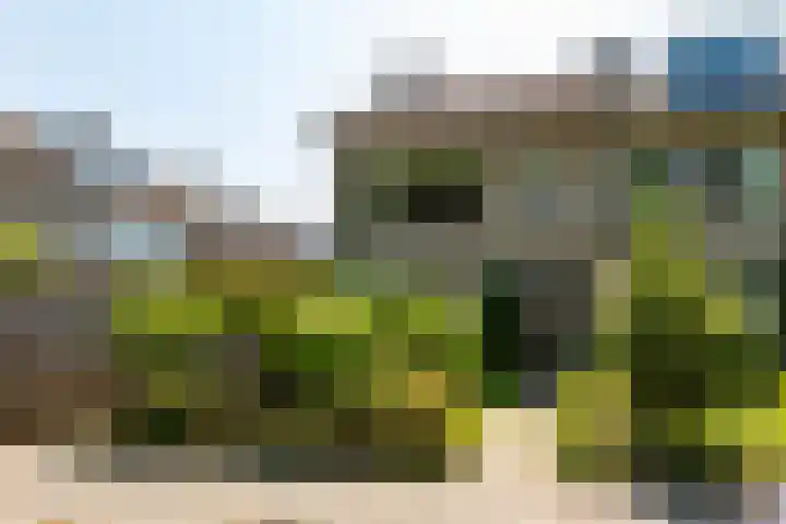 Swidbertstraat 22 Waalre thumbnail 28
