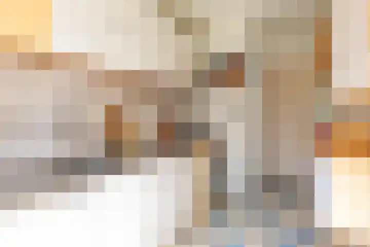 Swidbertstraat 22 Waalre thumbnail 7