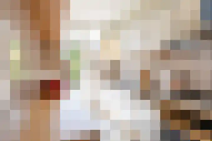 Swidbertstraat 22 Waalre thumbnail 8