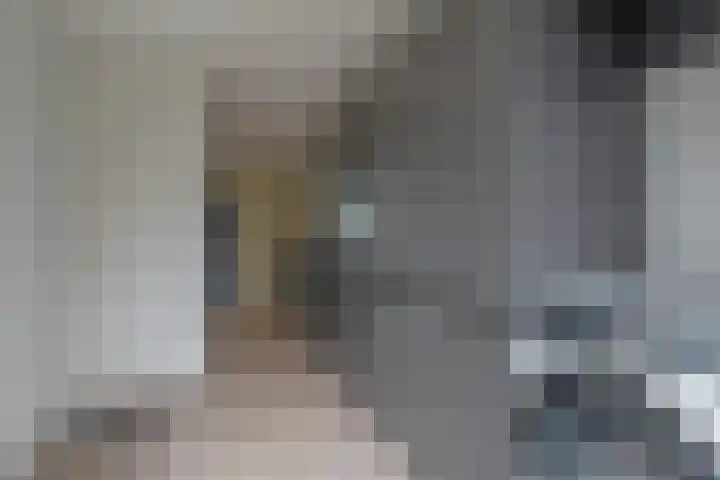 Swidbertstraat 7 Waalre thumbnail 11