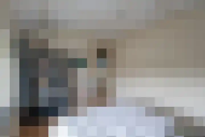 Swidbertstraat 7 Waalre thumbnail 17
