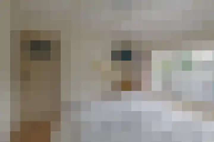 Swidbertstraat 7 Waalre thumbnail 19