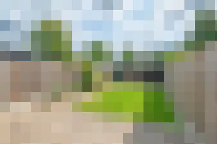 Swidbertstraat 7 Waalre thumbnail 23