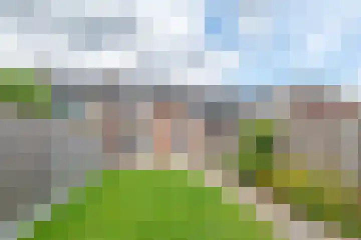 Swidbertstraat 7 Waalre thumbnail 24