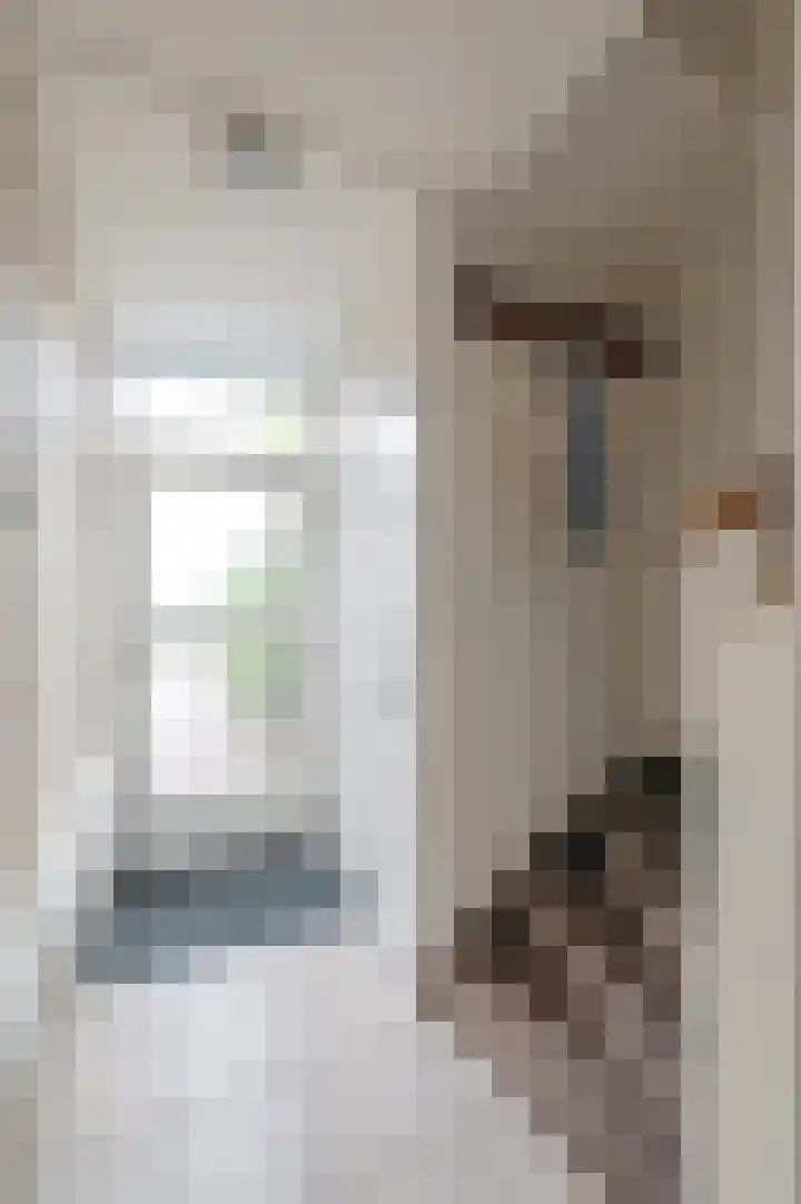 Swidbertstraat 7 Waalre thumbnail 4