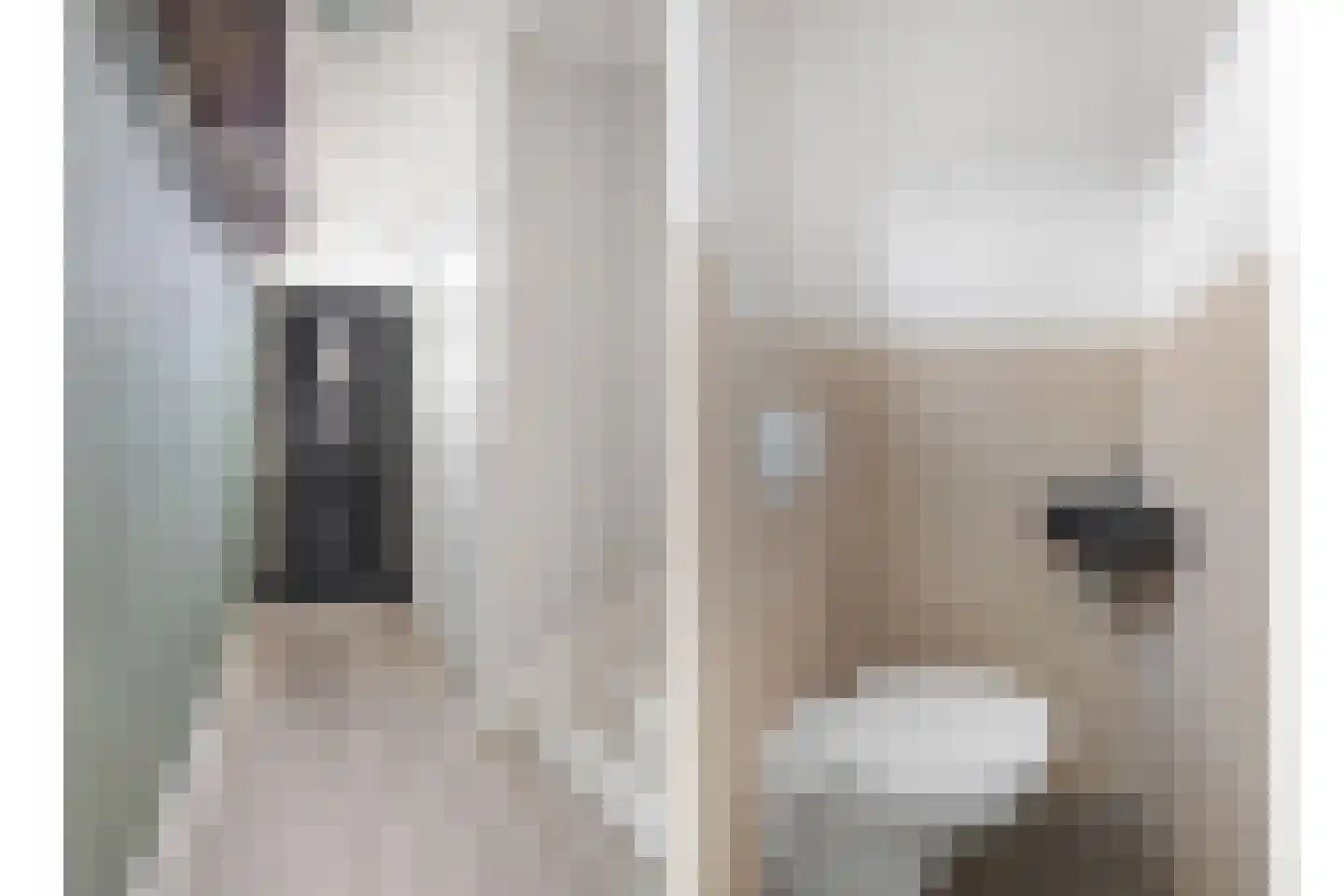 Swidbertstraat 9 Waalre thumbnail 13