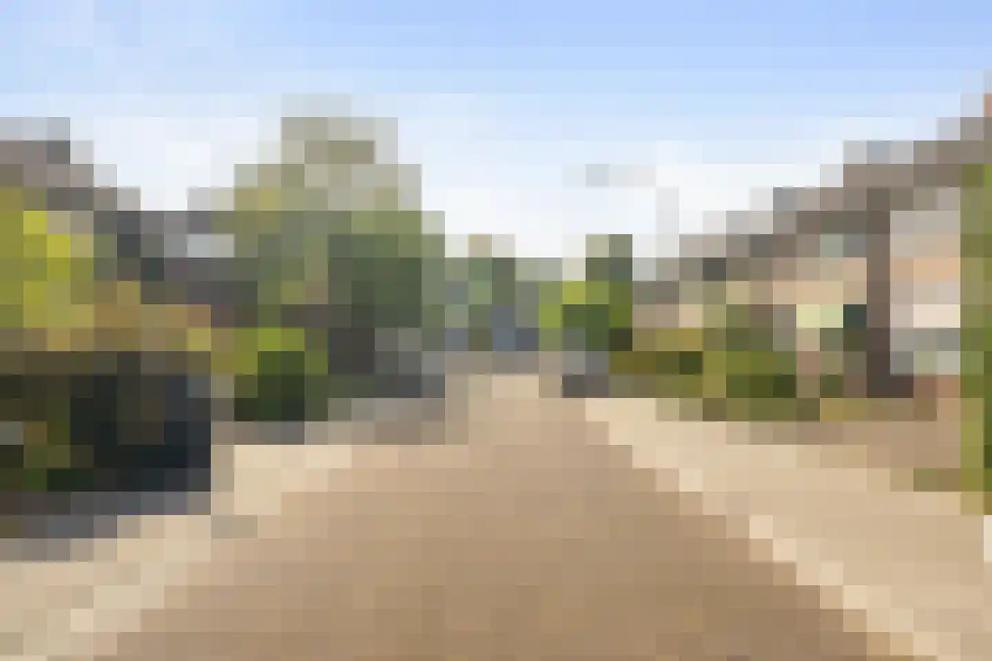 Swidbertstraat 9 Waalre thumbnail 26