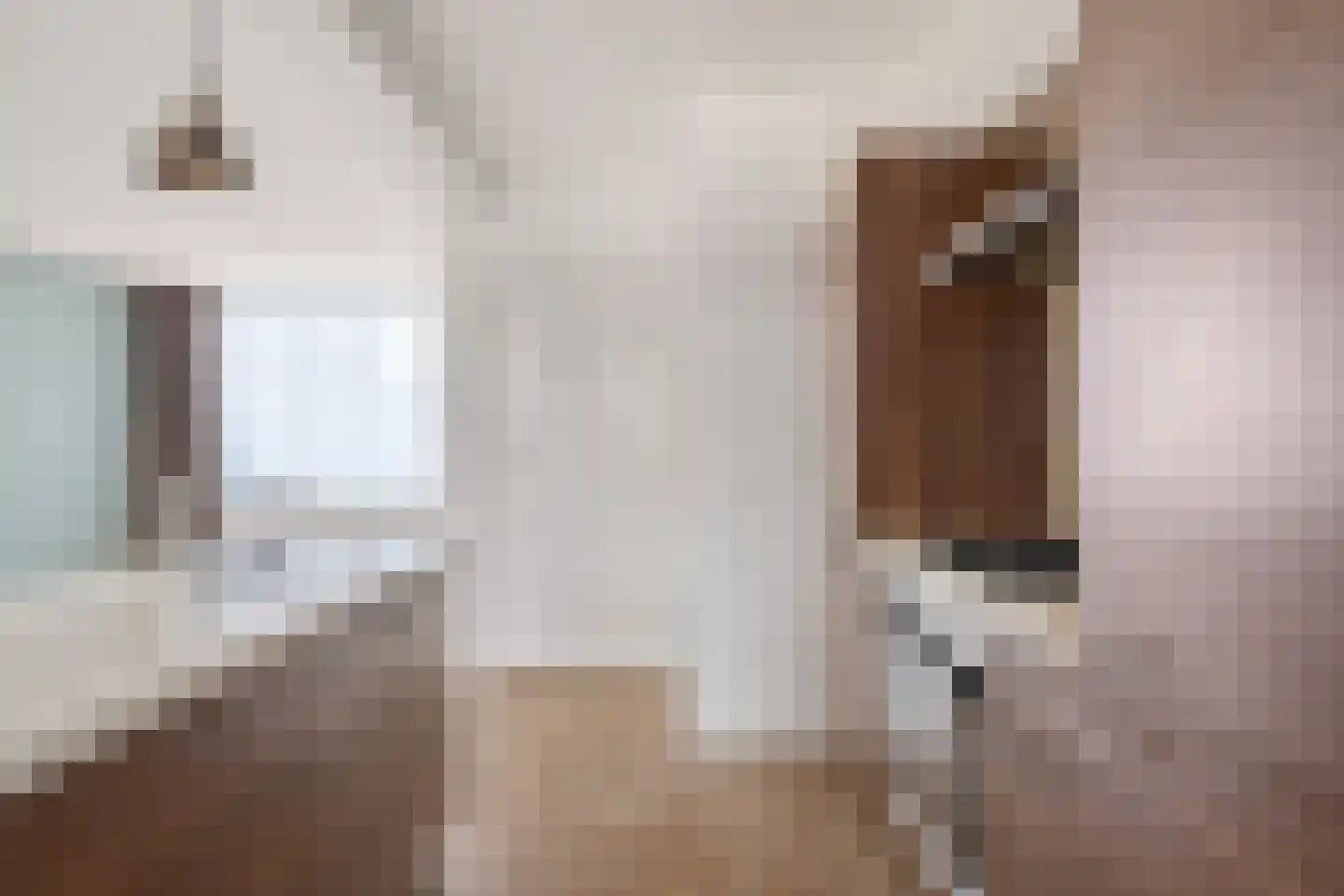 Swidbertstraat 9 Waalre thumbnail 9