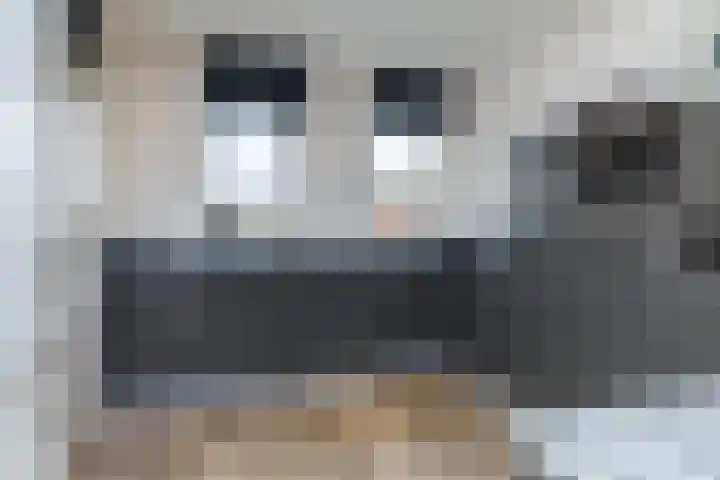 Swier 11 Wijnandsrade thumbnail 13