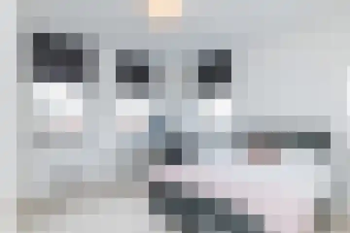 Swier 11 Wijnandsrade thumbnail 15
