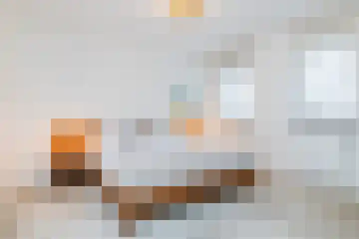 Swier 11 Wijnandsrade thumbnail 16