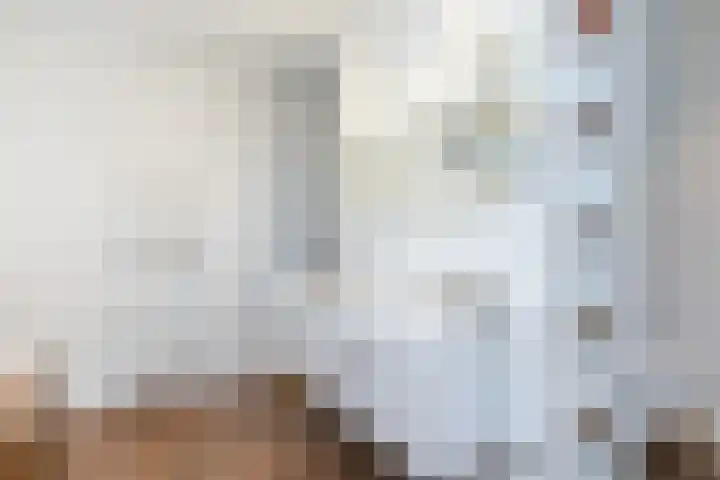 Swier 11 Wijnandsrade thumbnail 18