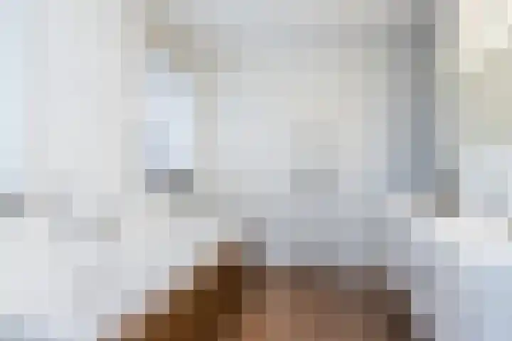 Swier 11 Wijnandsrade thumbnail 19