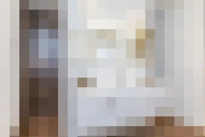 Swier 11 Wijnandsrade thumbnail 20