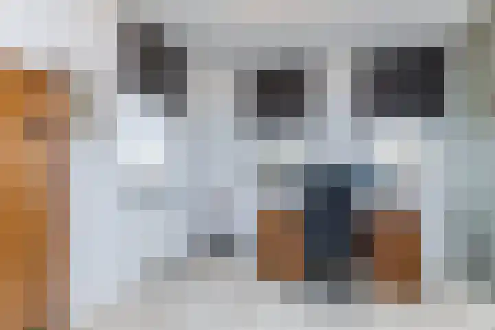 Swier 11 Wijnandsrade thumbnail 21