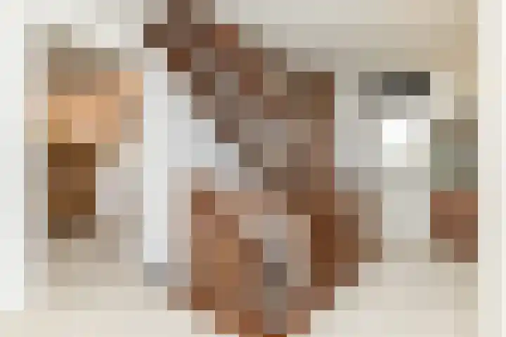 Swier 11 Wijnandsrade thumbnail 22