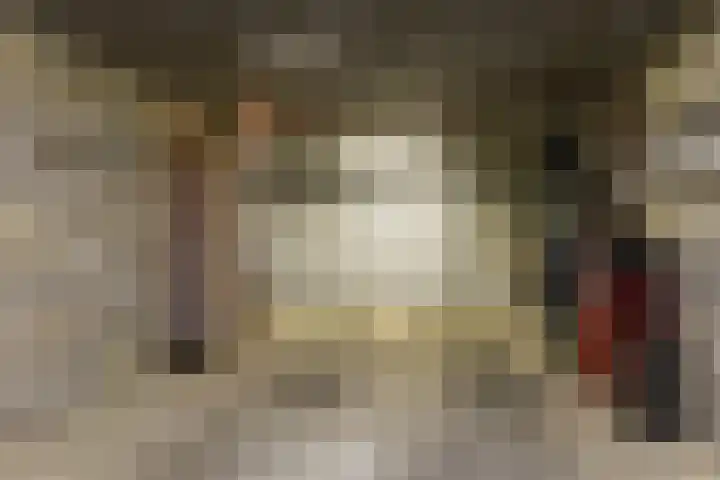 Swier 11 Wijnandsrade thumbnail 24