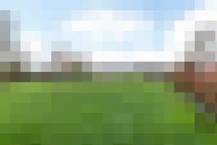 Swier 11 Wijnandsrade thumbnail 27