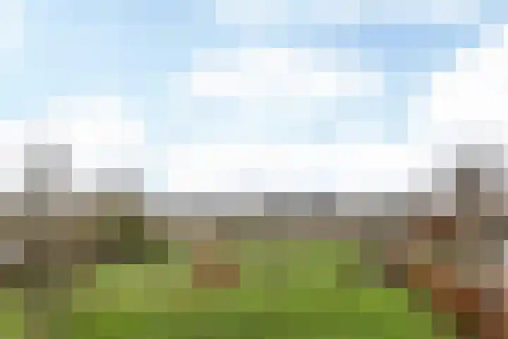 Swier 11 Wijnandsrade thumbnail 28