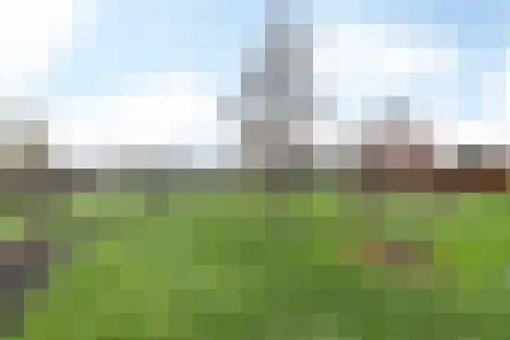 Swier 11 Wijnandsrade thumbnail 29