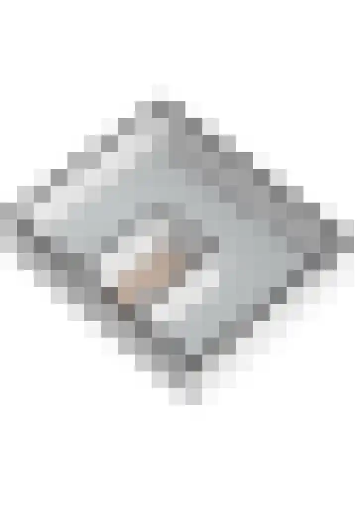 Swier 11 Wijnandsrade thumbnail 31