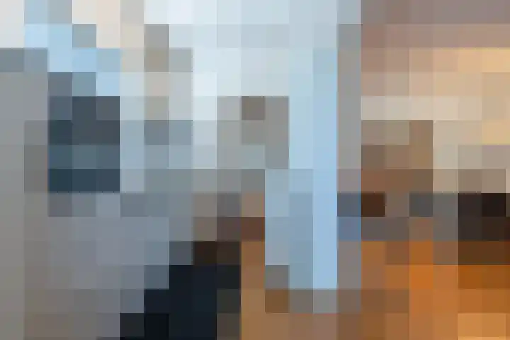 Swier 13 Wijnandsrade thumbnail 14