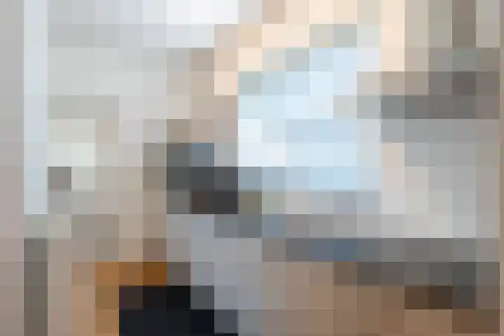 Swier 13 Wijnandsrade thumbnail 15