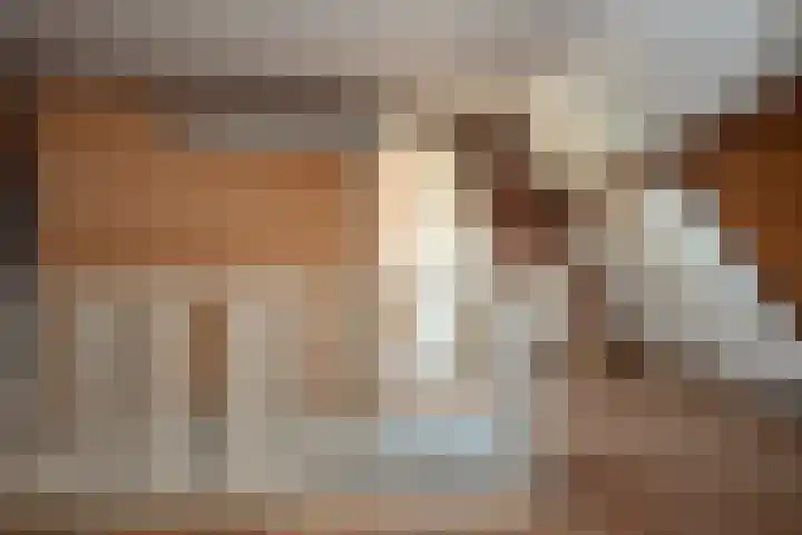 Swier 13 Wijnandsrade thumbnail 37