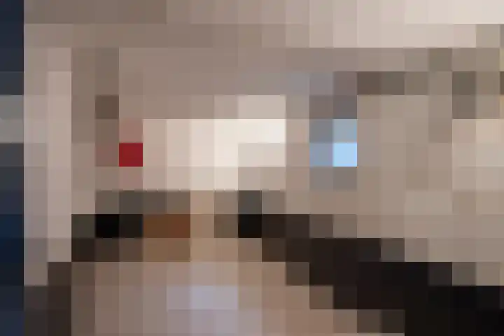 Swier 13 Wijnandsrade thumbnail 41