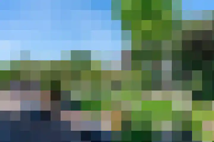 Swier 13 Wijnandsrade thumbnail 43