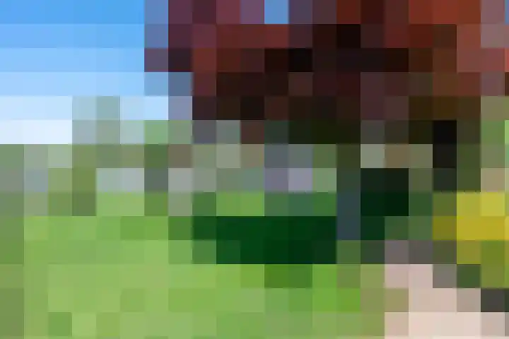 Swier 13 Wijnandsrade thumbnail 46