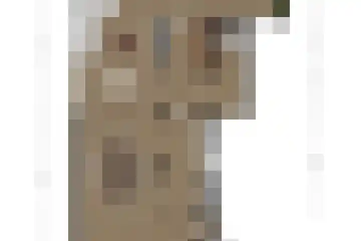Swier 13 Wijnandsrade thumbnail 55