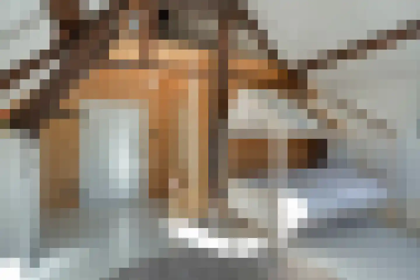 Swier 34 Wijnandsrade thumbnail 26