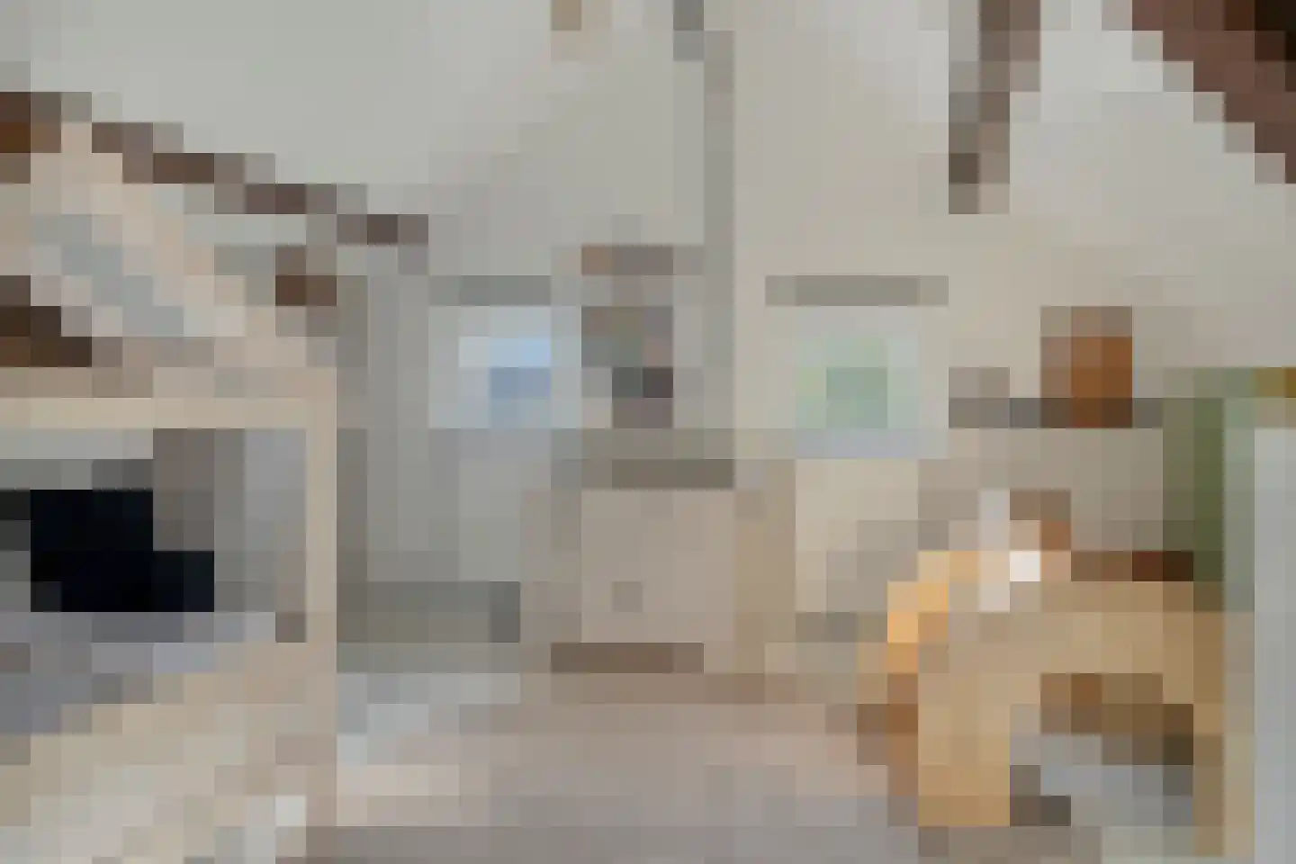 Swier 34 Wijnandsrade thumbnail 27