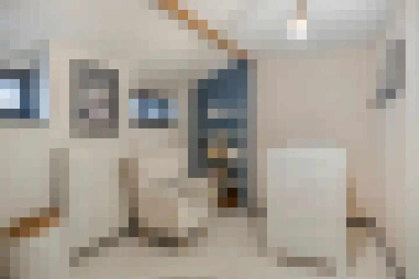 Swier 34 Wijnandsrade thumbnail 29