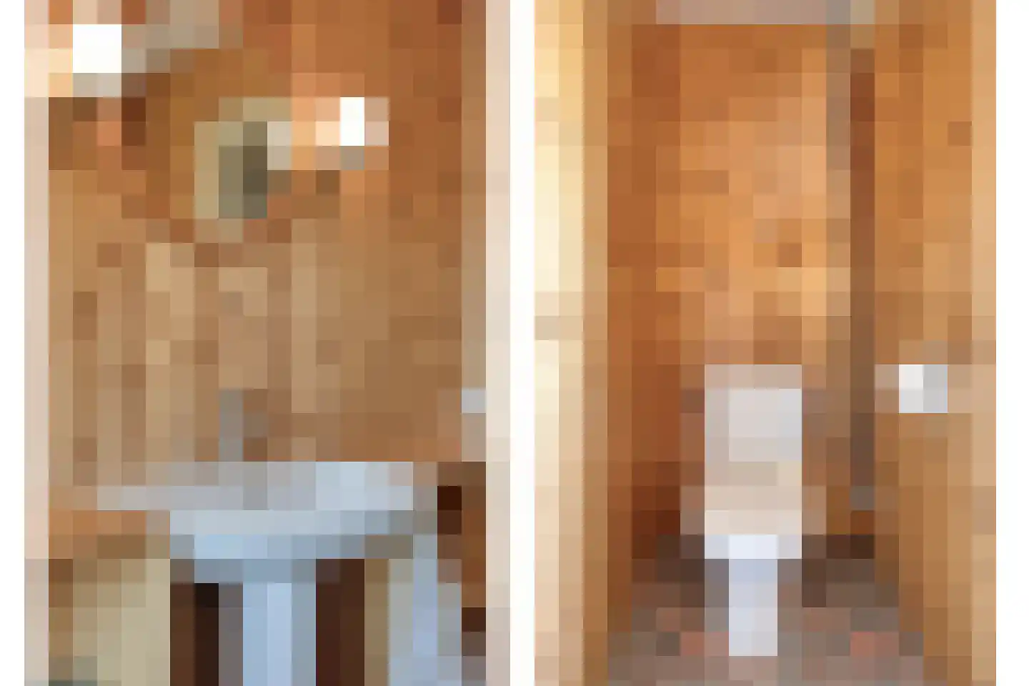 Swier 34 Wijnandsrade thumbnail 31