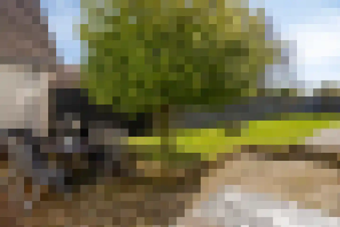 Swier 34 Wijnandsrade thumbnail 33