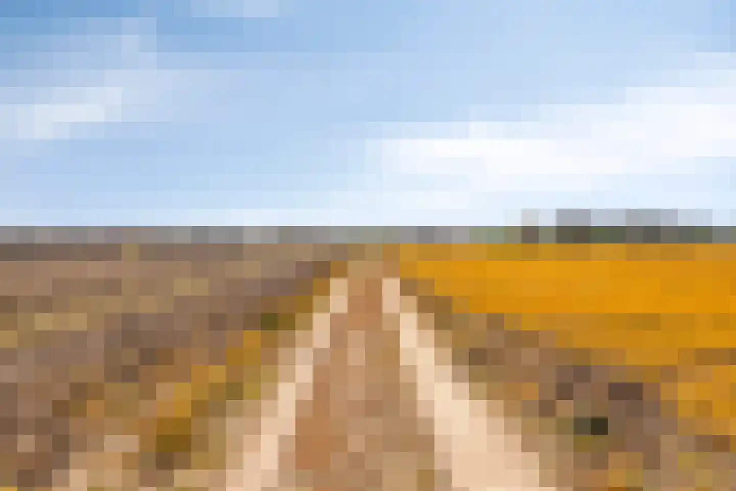 Swier 34 Wijnandsrade thumbnail 44
