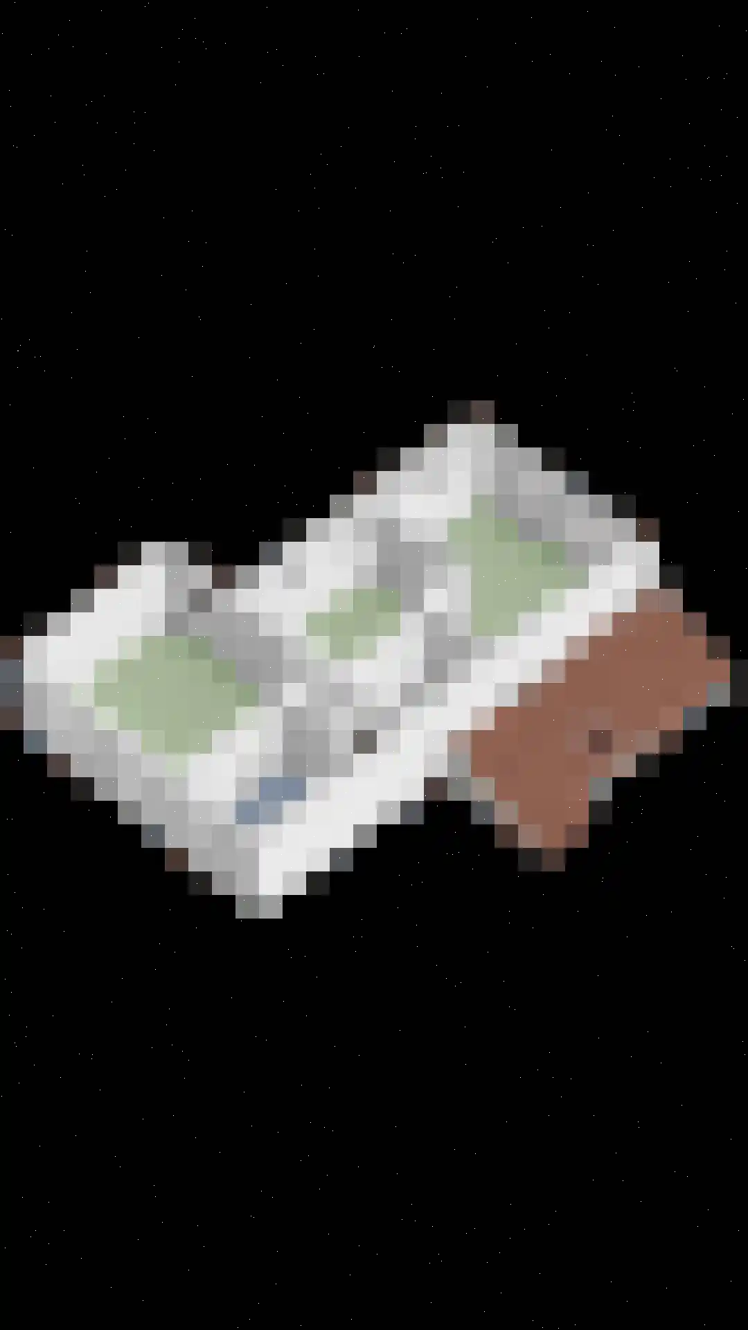 Swier 34 Wijnandsrade thumbnail 51